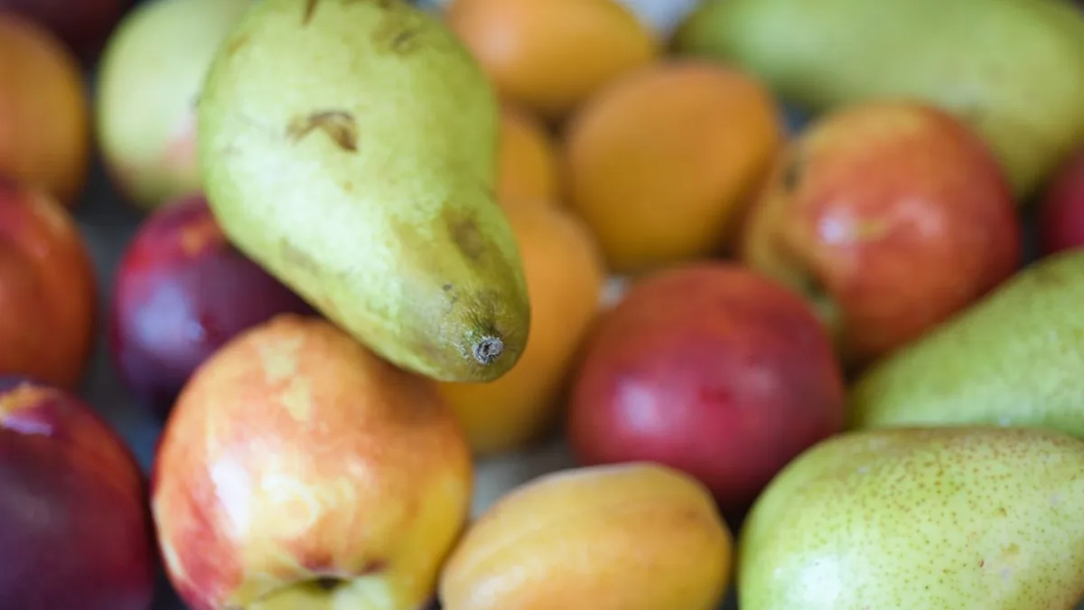 Desserts aux fruits de saison, mois par mois